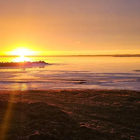 Vana-tamme Minimaja *