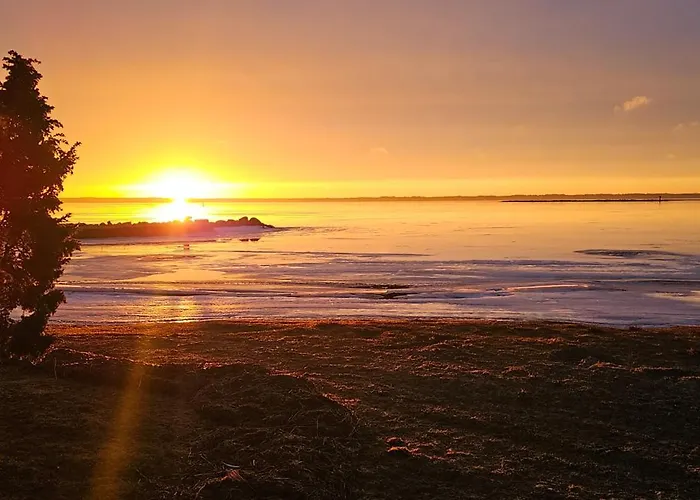 Vana-tamme Minimaja *